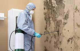 Best Air Quality Testing for Mold Spores  in Bemiss, GA